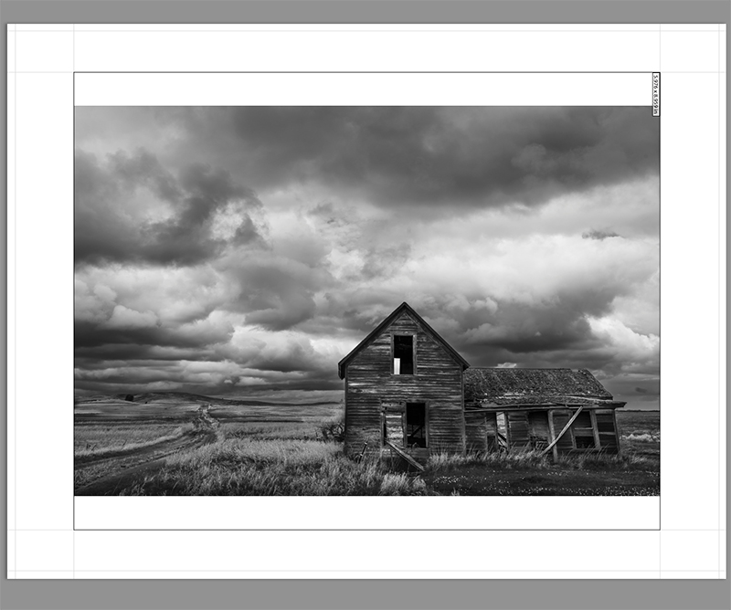 Lightroom Print Preview-2.jpg